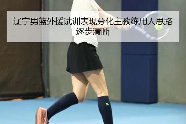 辽宁男篮外援试训表现分化主教练用人思路逐步清晰